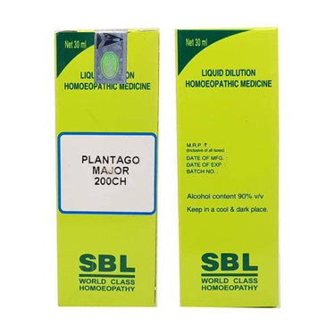 https://cdn.shopify.com/s/files/1/1857/6931/products/CGR77gmKPt.jpg?v=1613940259